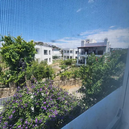 Holiday home Cedi