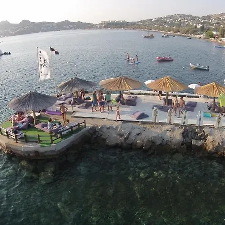 Tatil Evi Cedi *
