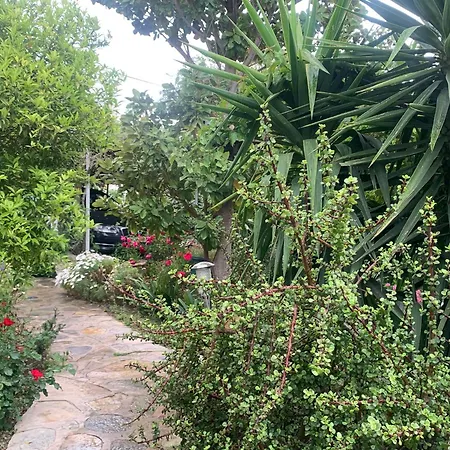 Tatil Evi Cedi