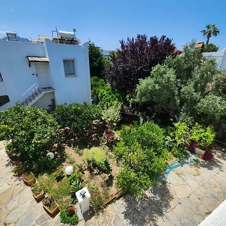 Casa de Férias Cedi Bodrum